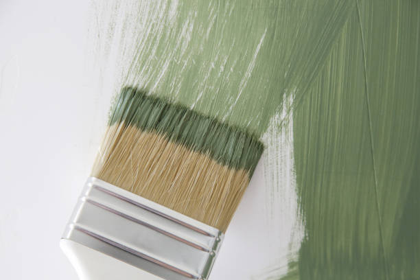 Reliable Oakland, NE Mold Removal Solutions