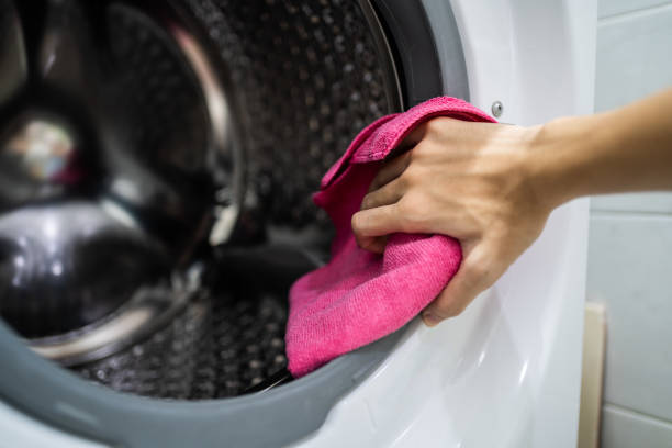 Best Mold Damage Restoration  in Oakland, NE