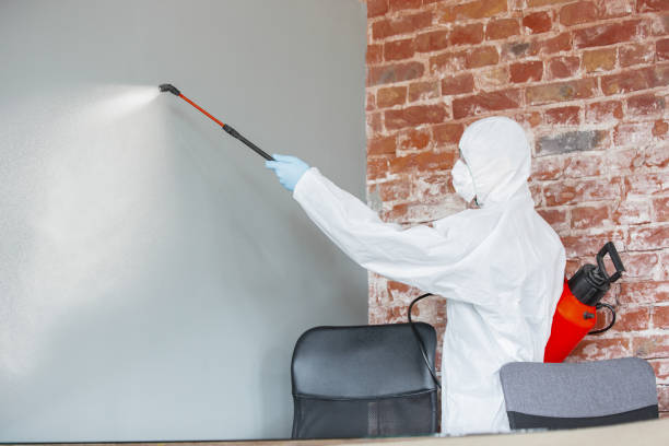Best Environmental Consulting for Mold Prevention  in Oakland, NE