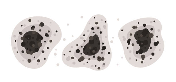Best Air Quality Testing for Mold Spores  in Oakland, NE
