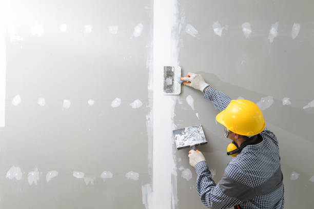 Best Asbestos and Lead Testing During Mold Inspection  in Oakland, NE