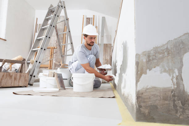Best Mold Documentation for Insurance Claims  in Oakland, NE
