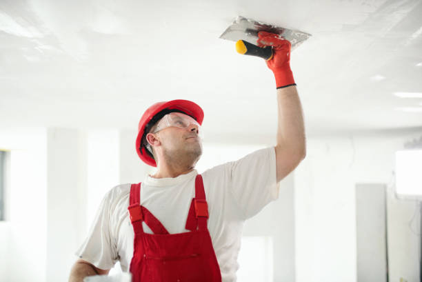 Best Black Mold Removal  in Oakland, NE