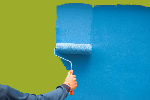 Best Mold Odor Removal Services  in Oakland, NE